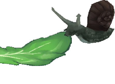 snail nom nom nom